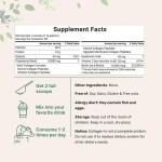 TK Hot Selling Multi-Collagen Peptides Powder for Adults Beauty Antioxidant