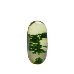 Double-Layer Capsule Fish Oil Essential Minerals for Blood Flow Electrolyte