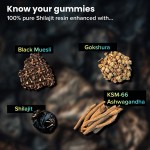 Factory Direct Shilajit Soft Gummies 60 Grains Herbal Supplements for Adults