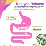 In Stock Customized 7-Day Light Food Plan Dietary Fiber Milkshake Supplement