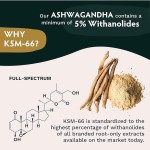 南非醉茄胶囊供应商-强效减压私标定制