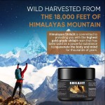 Shilajit Resin Manufacturer - Natural Balance Dietary Supplement