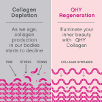 Collagen Powder Supplier - Multi Collagen Peptides Skin Elasticity