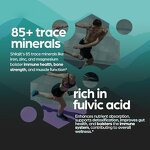 Shilajit Capsules - Manufacturer Tianyuan 10000mg 85 Trace Minerals Fulvic Acid