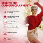 Saffron Extract Capsules - Manufacturer Natural Herbal Vegan Energy Supplement