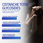 Kidney Health Capsule - Manufacturer OEM Cistanche Tubulosa Male Energy Stamina