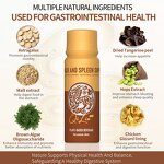 Digestive Liquid Supplement - Manufacturer Spleen Stomach Intestinal Wellness