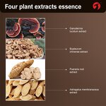 Liver Cleanse Capsules - Manufacturer RuiSen Turmeric Dandelion Milk Thistle