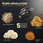 Shilajit Gummies - Manufacturer Tianyuan Ashwagandha Burdock Sea Moss Lions Mane