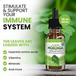 Moringa Drops - Manufacturer Tianyuan Organic Antioxidant Energy Metabolism
