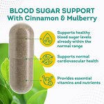 Herbal Supplement Capsule - Manufacturer OEM Cinnamon Mulberry Hawthorn Garlic