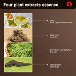 Elderly Health Capsules - Manufacturer Herbal Cardiovascular Vascular Waste