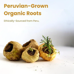 Maca Root Capsules - Manufacturer OEM Yellow 60pcs Men's Endurance Enhancement