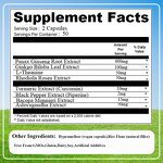 Veggie Superfood Capsules Manufacturer - Vigoworld with Panax Ginseng Ginkgo Biloba