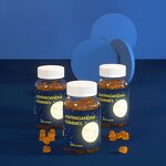 Ashwagandha Gummies Manufacturer - Sugar-Free Root Extract for Mood Improvement