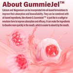 Magnesium Calcium Zinc Gummies Manufacturer - Vigo Sugar Free with Algae Calcium B Complex