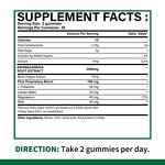 Ashwagandha Gummies Manufacturer - Natural with L-Theanine & Lemon Balm for Mood & Energy