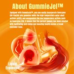 CoQ10 Filled Gummies Manufacturer - Wholesales Sugar-Free with Omega-3 Zinc & Nicotinamide