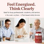 Veggie Superfood Capsules Manufacturer - Vigoworld with Panax Ginseng Ginkgo Biloba