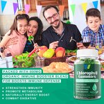 Chlorophyll Gummies Manufacturer - with Sambucus Echinacea ACV Wheat Grass