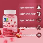 Magnesium Calcium Zinc Gummies Manufacturer - Vigo Sugar Free with Algae Calcium B Complex