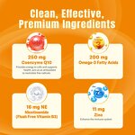 CoQ10 Filled Gummies Manufacturer - Wholesales Sugar-Free with Omega-3 Zinc & Nicotinamide