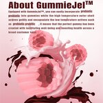 Prebiotic Probiotic Gummies Manufacturer - Vegan 5 Billion CFU for Gut Health
