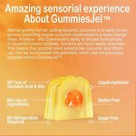 Turmeric Curcumin Gummies Manufacturer - Sugar-Free with 1000mg Black Pepper Extract