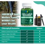Chlorophyll Gummies Manufacturer - with Sambucus Echinacea ACV Wheat Grass
