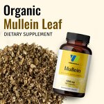 Mullein Leaf Extract Capsules Manufacturer - Organic Vegan for Digestive Immune & Sleep