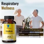 Mullein Leaf Extract Capsules Manufacturer - Organic Vegan for Digestive Immune & Sleep