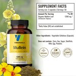 Mullein Leaf Extract Capsules Manufacturer - Organic Vegan for Digestive Immune & Sleep