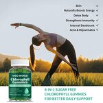 Chlorophyll Gummies Manufacturer - Vegan with ACV & Sea Moss Elderberry for Energy
