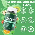 Chlorophyll Bear Gummy Manufacturer - with Organic Supergreens for Energy & Immune