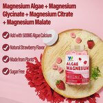 Magnesium Calcium Zinc Gummies Manufacturer - Vigo Sugar Free with Algae Calcium B Complex