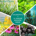 Chlorophyll Gummies Manufacturer - Vegan with ACV & Sea Moss Elderberry for Energy