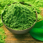 Matcha Powder Manufacturer - Organic Premium Japanese Ceremonial Private