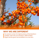 Sea Buckthorn Softgels Manufacturer - Private Label for Heart Brain & Skin