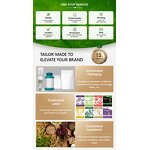 Stomach Tea Manufacturer - Wholesale Organic Warm & Flat Stomach