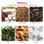 Female Fertility Tea Manufacturer - Organic Blended for Men's Health OEM