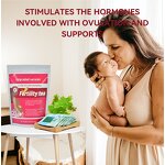 Female Fertility Tea Manufacturer - Organic Blended for Men's Health OEM