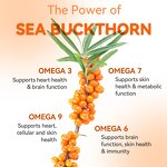 Sea Buckthorn Softgels Manufacturer - Private Label for Heart Brain & Skin