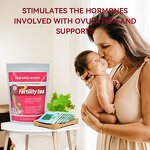 Female Fertility Tea Manufacturer - Organic Blended for Men's Health OEM