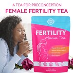 Fertility Tea for Women Manufacturer - Organic Herbal Hormone Balance
