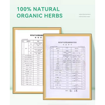 Blood Herbal Tea Manufacturer - Blended Organic ISO Halal Certified