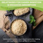 Maca Capsules - Manufacturer 2022 Hot Africa 100 Veg Curve Plus Hips Enlargement