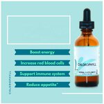 Chlorophyll Liquid - Manufacturer Private Label Unflavored Weight Loss Immune