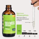 Sea Moss Oil Drops - Manufacturer Custom Label Organic Vegan Irish 2oz Glass Bottle