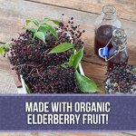 Elderberry Syrup - Manufacturer Hot Sale Organic Sambucus 30ml Antioxidant
