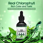 Chlorophyll Drops - Manufacturer OEM ODM 6000MG Mint Vegan Deodorant Skin Protect